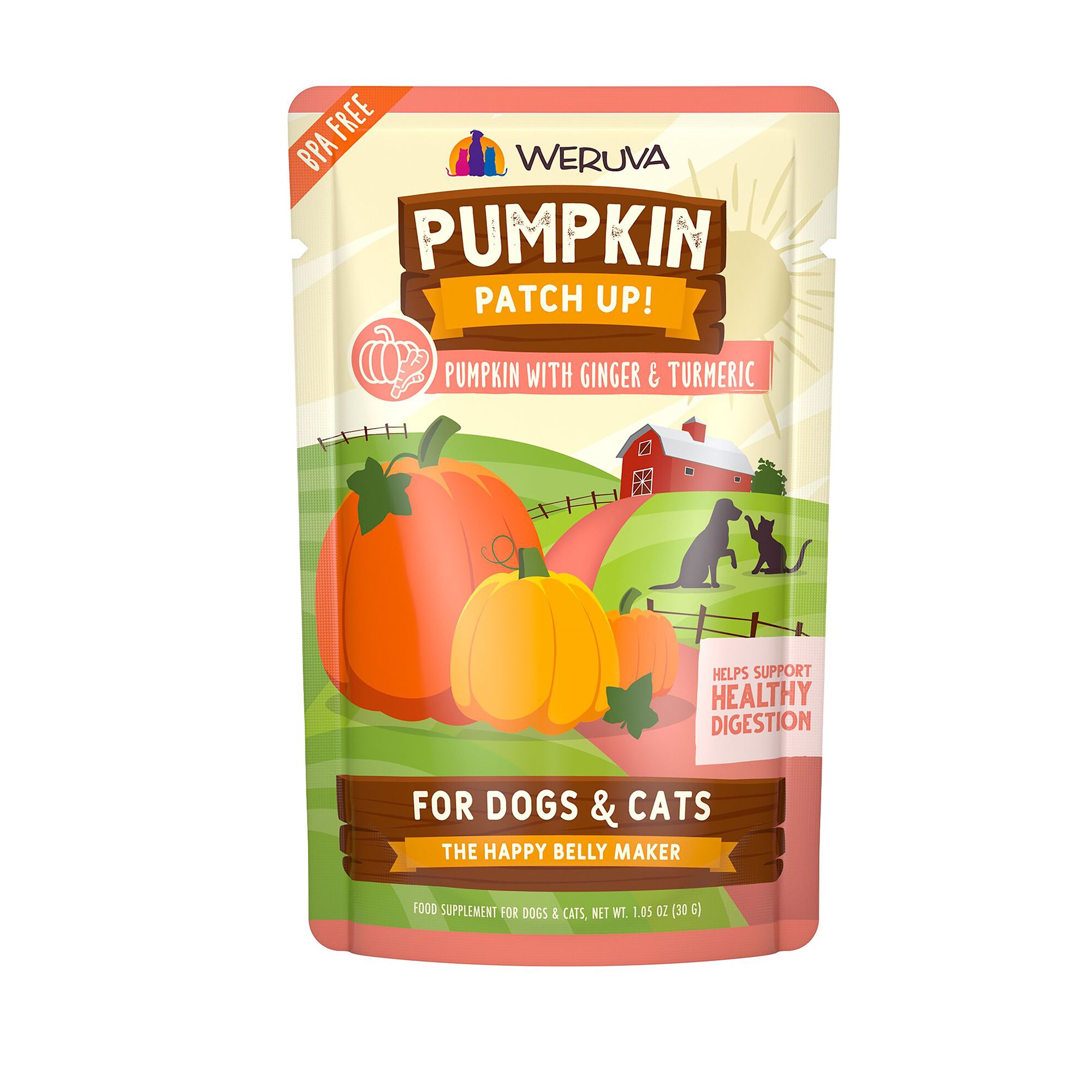 Pumpkin Patch Up! Supplement for Cats and Dogs 1.05 oz, Pureed