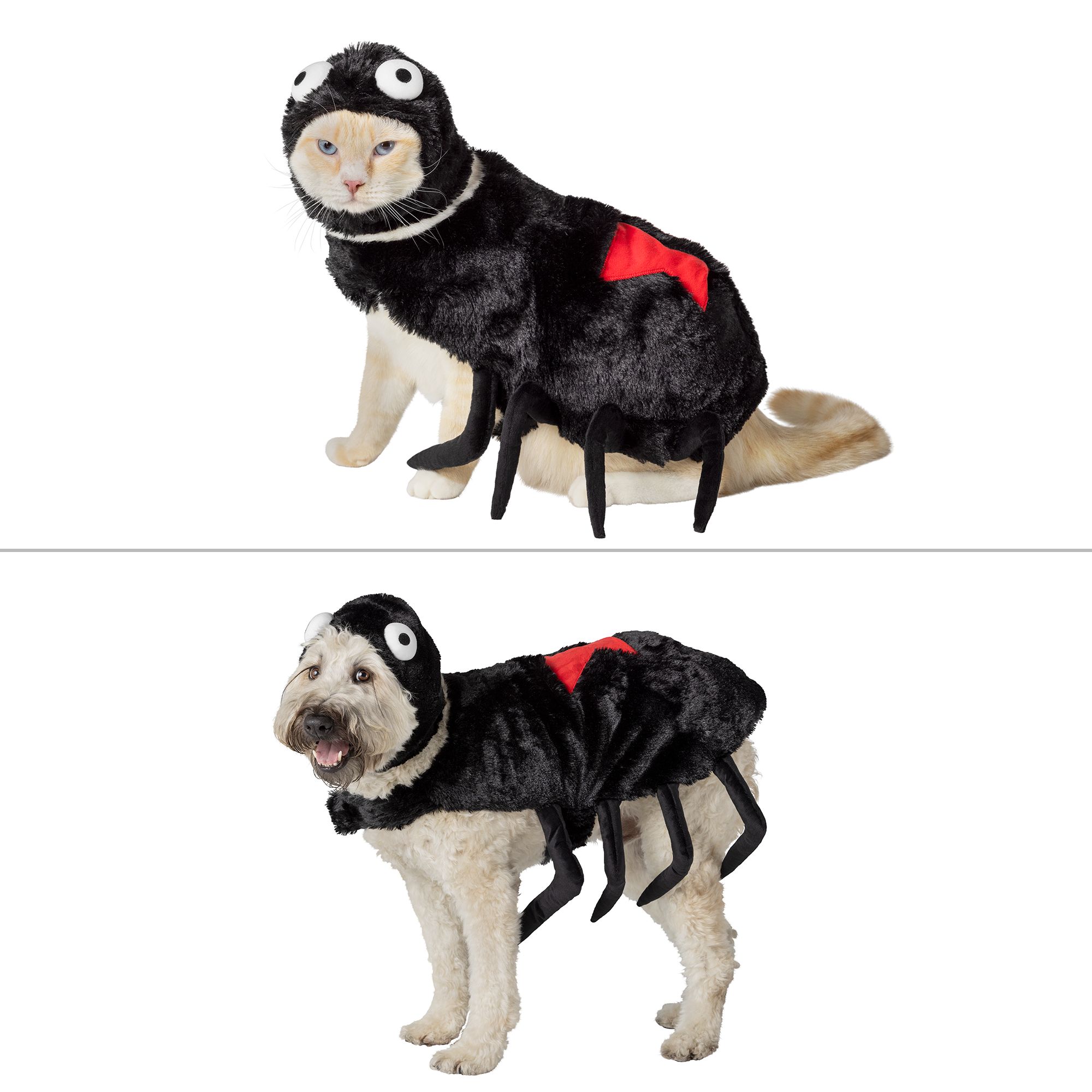 Thrills & Chills™ Halloween Spider Dog & Cat Costume dog Costumes PetSmart