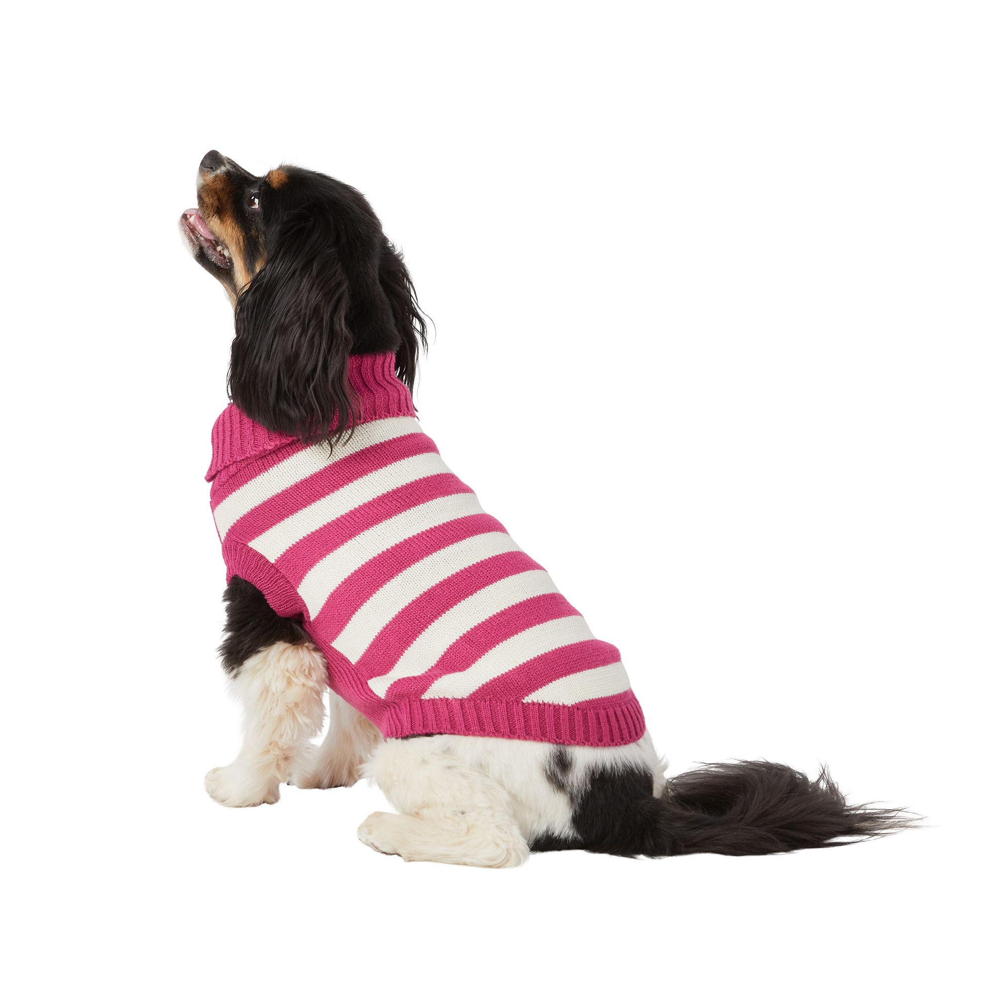 Top Paw® Value Striped Dog Sweater dog Sweaters PetSmart