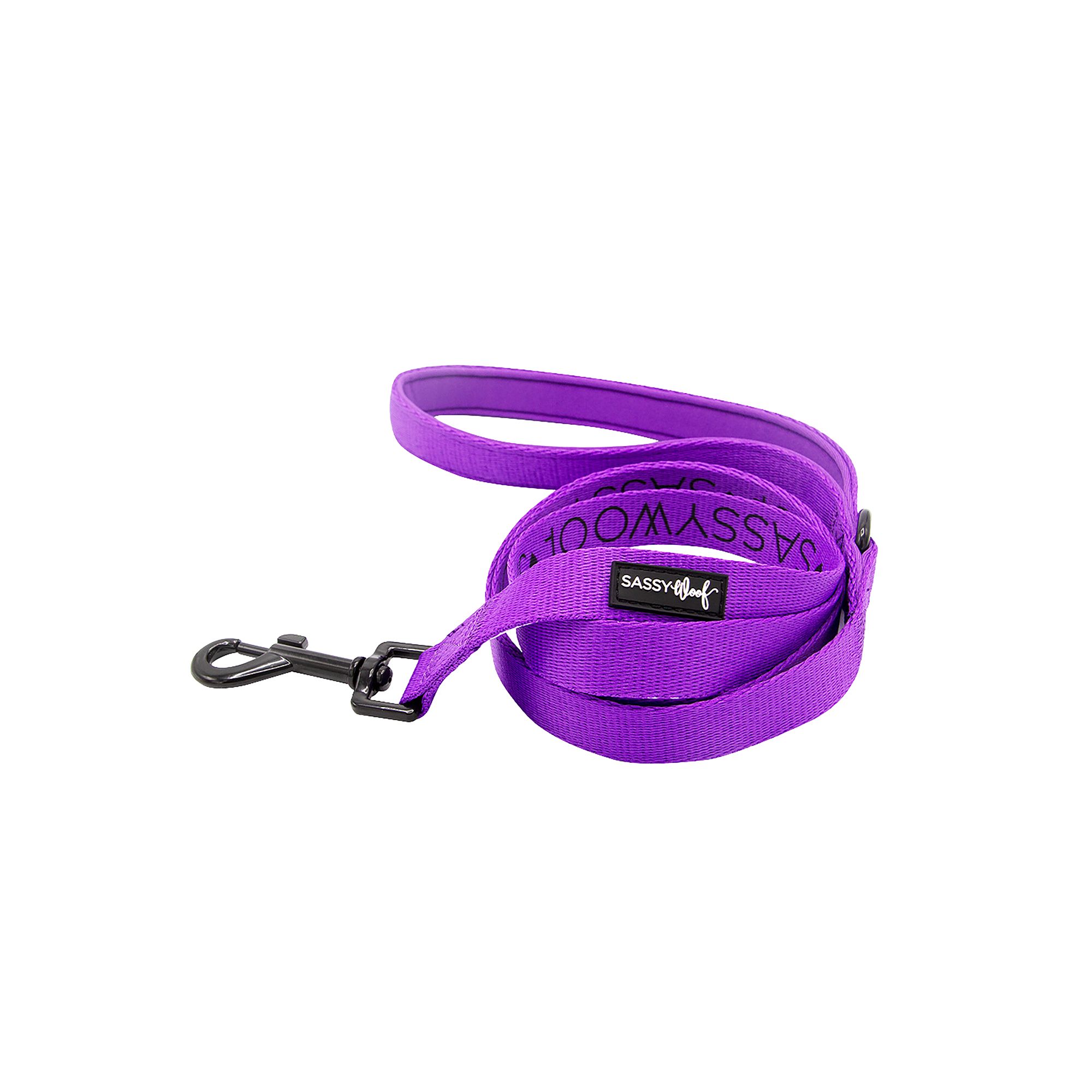 Sassy Woof Neon Purple Dog Leash 5ft long dog Leashes PetSmart