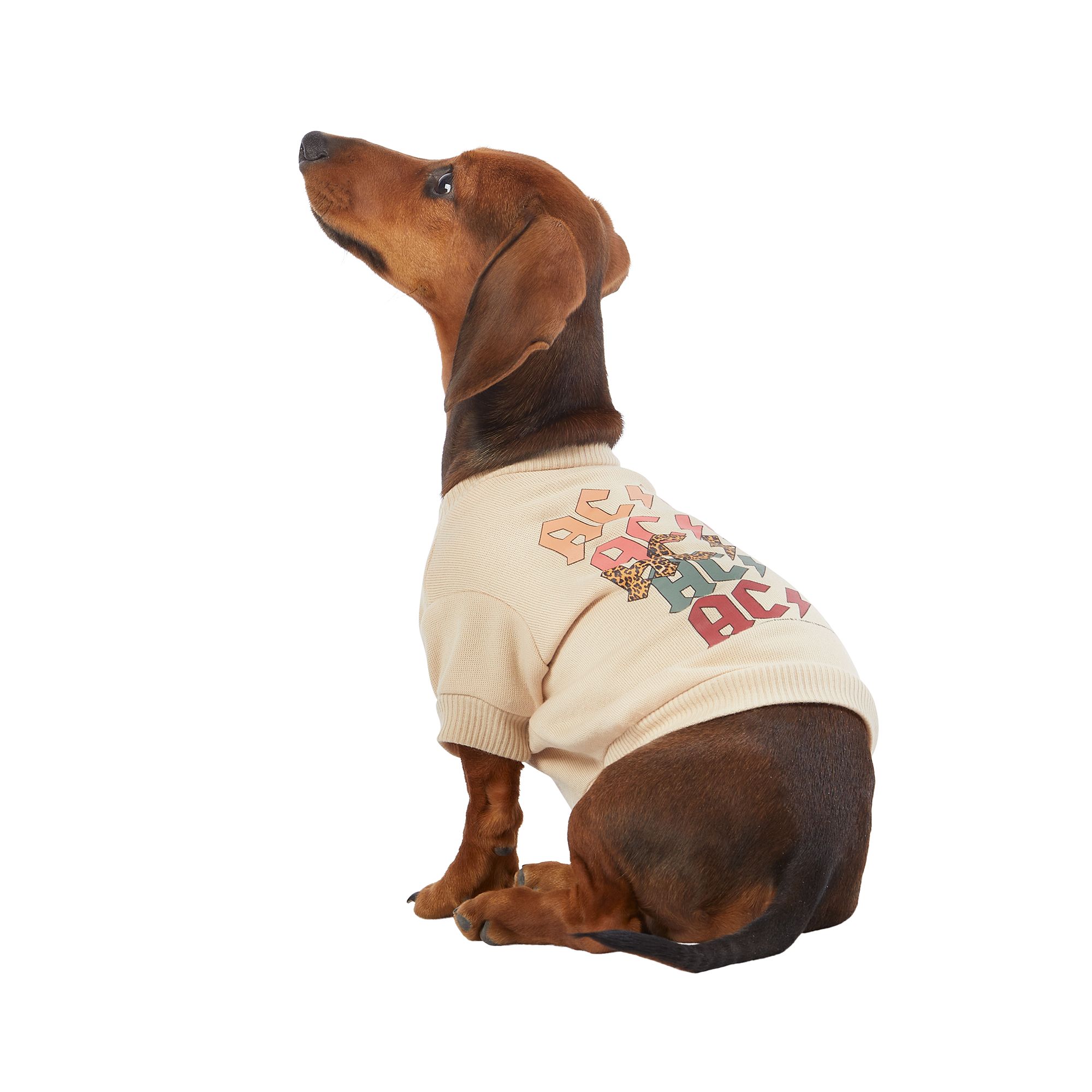 Blended Clothing Collection AC/DC Dog Crew Neck Sweatshirt dog Tshirts & Tank Tops PetSmart