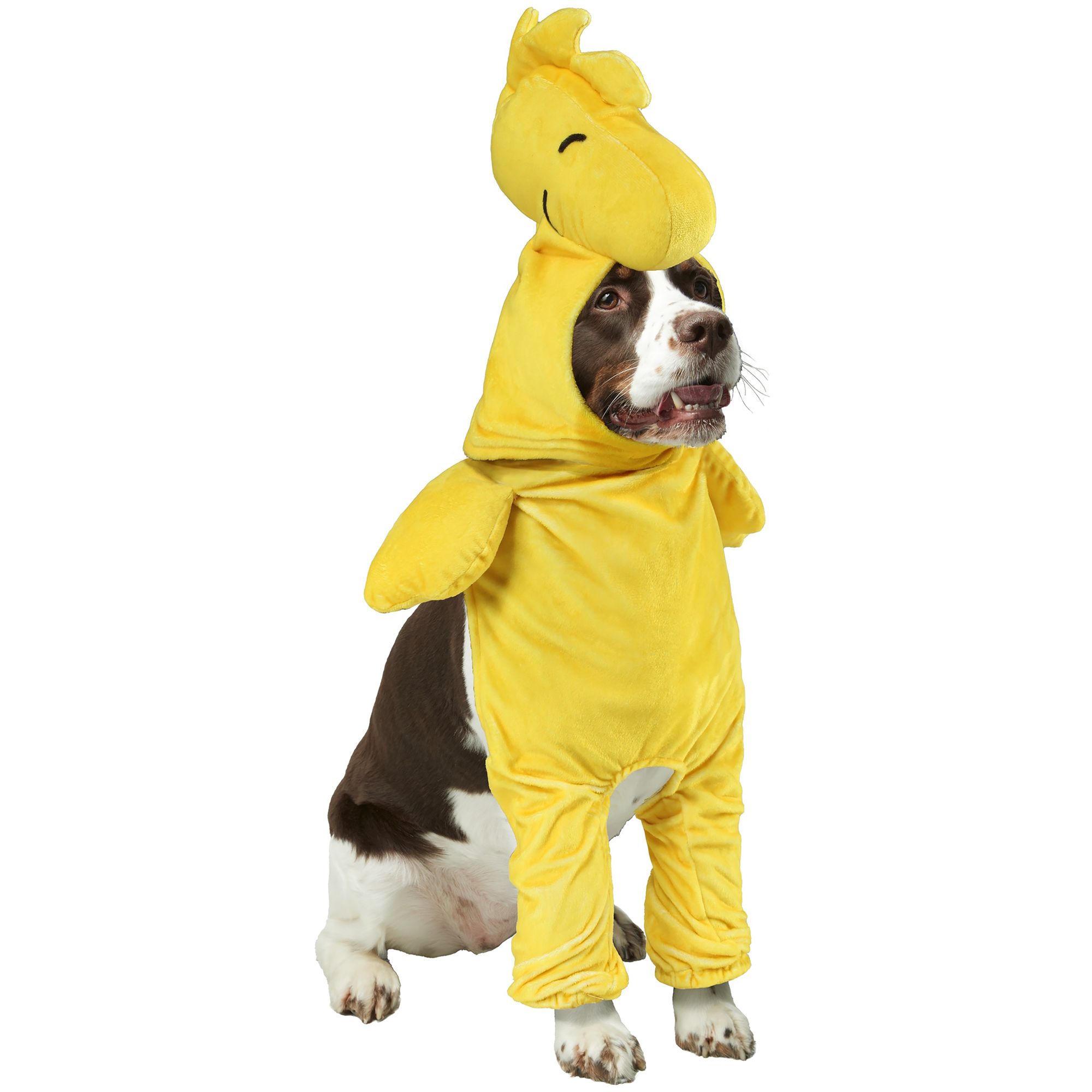 Rubie's Pet Shop Halloween Peanuts Woodstock Dog & Cat Costume dog