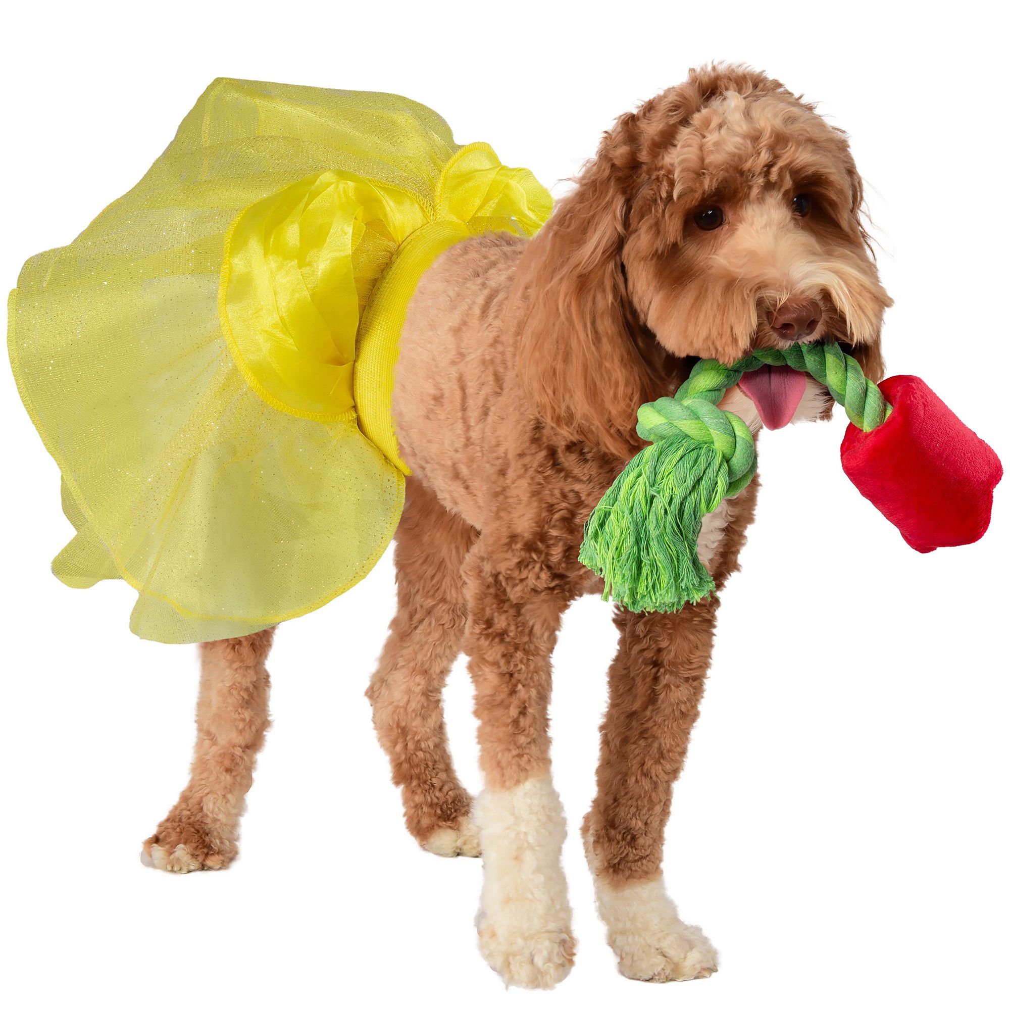 Rubie's Pet Shop Halloween Belle Dog Costume & Toy Bundle dog