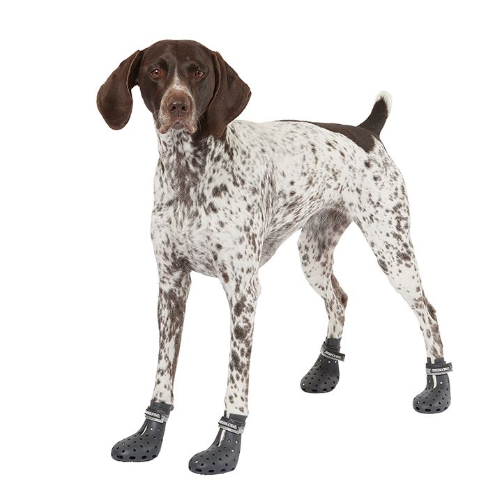 Arcadia Trail ™ Water Boots dog Boots, Shoes & Socks PetSmart