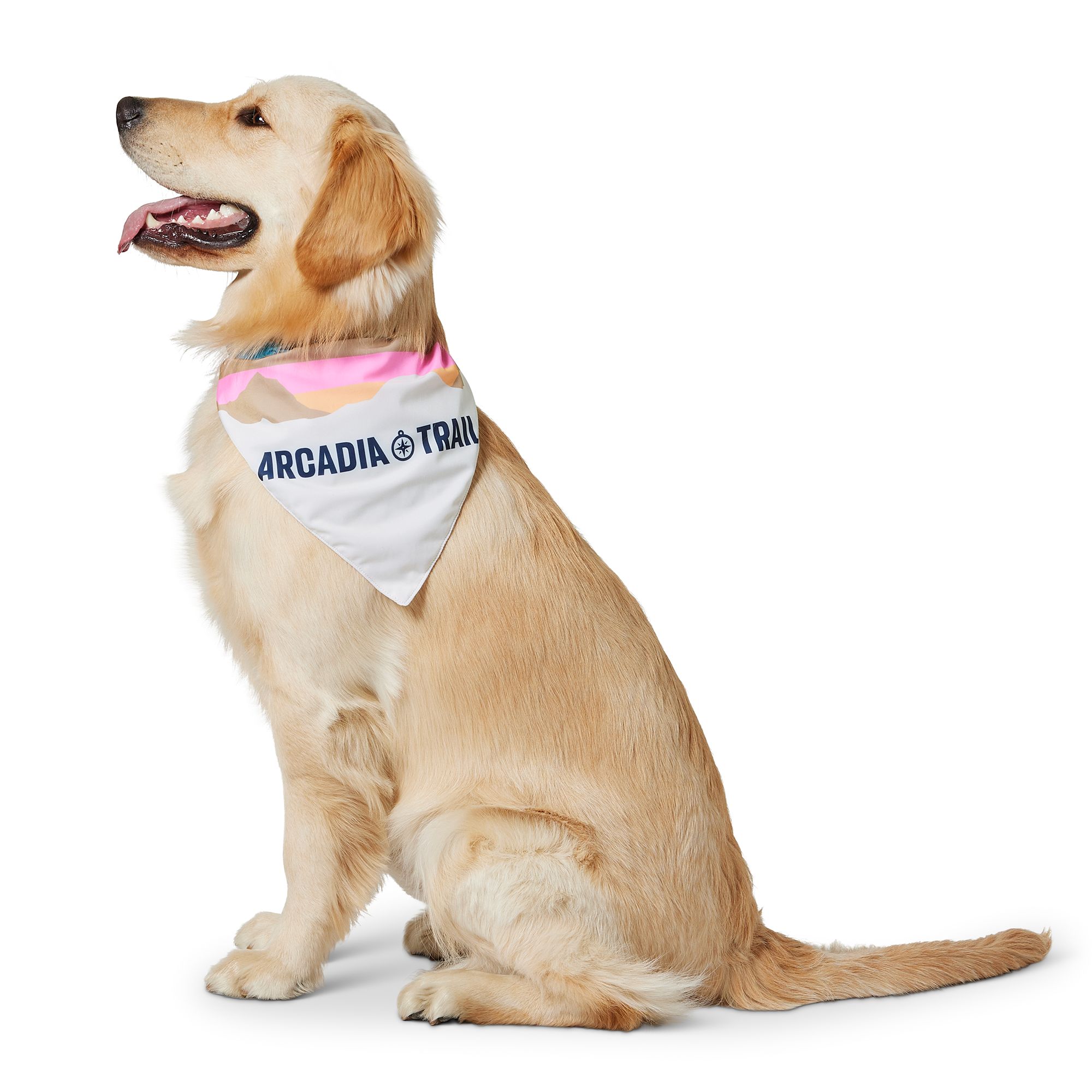 Arcadia Trail ™ Cooling Dog Bandana dog Bandanas, Bows & Hats PetSmart