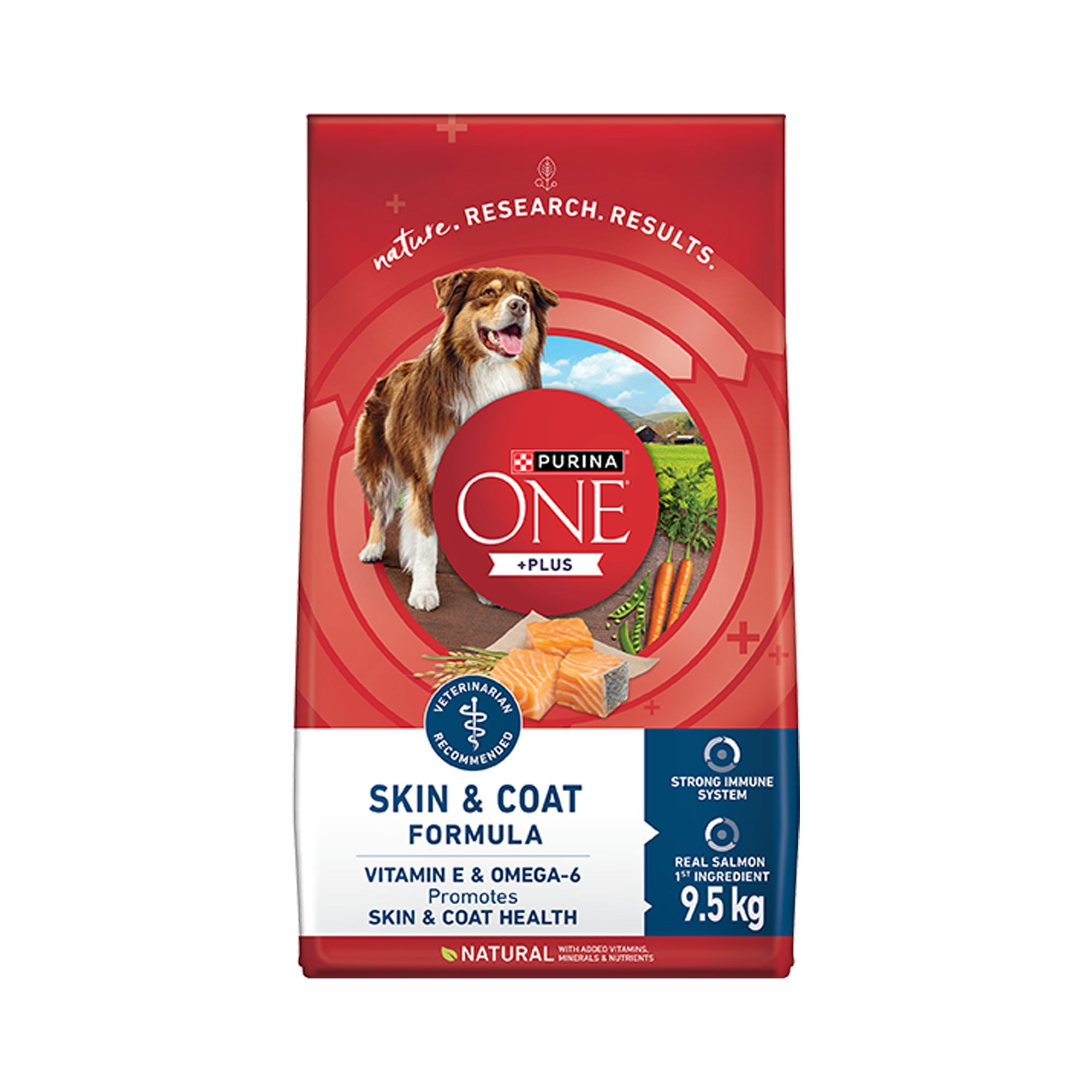Purina ONE Plus Skin & Coat Formula Salmon dog Dry Food PetSmart