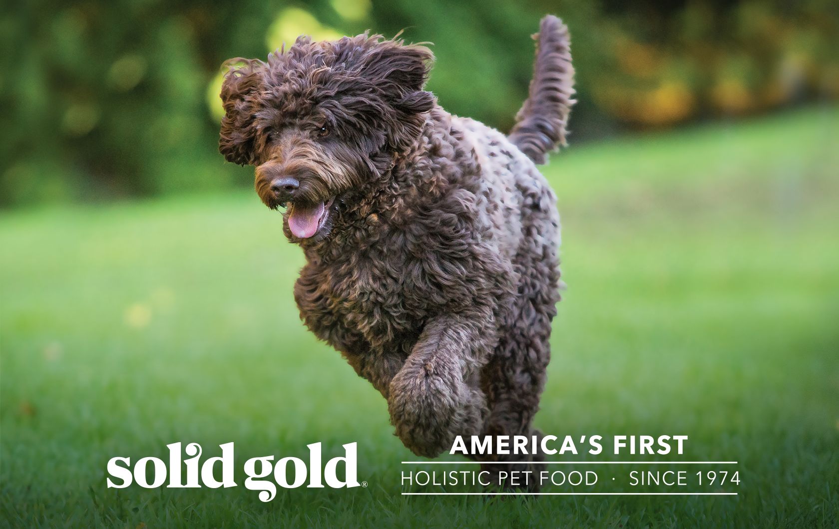 Solid Gold Dog Food, Treats & Supplements PetSmart