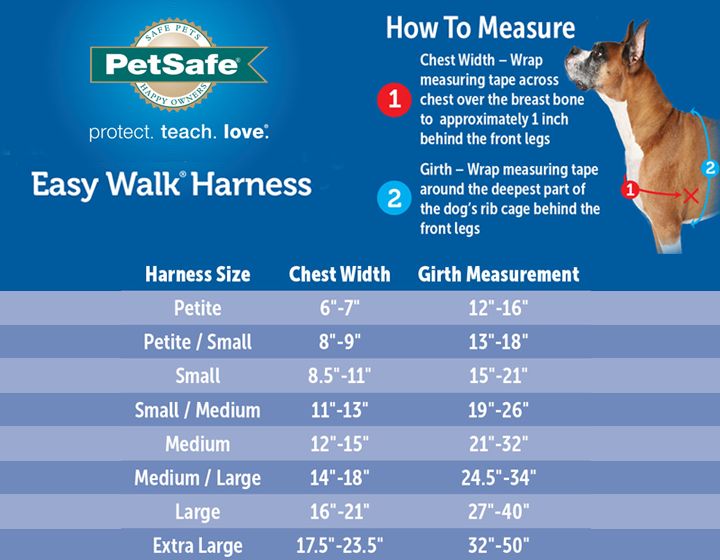 PetSafe® Deluxe Easy Walk Dog Harness | dog Harnesses | PetSmart