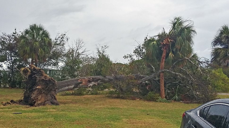PHOTOS Experts Surveying Sanford, Mascotte Storm Damage