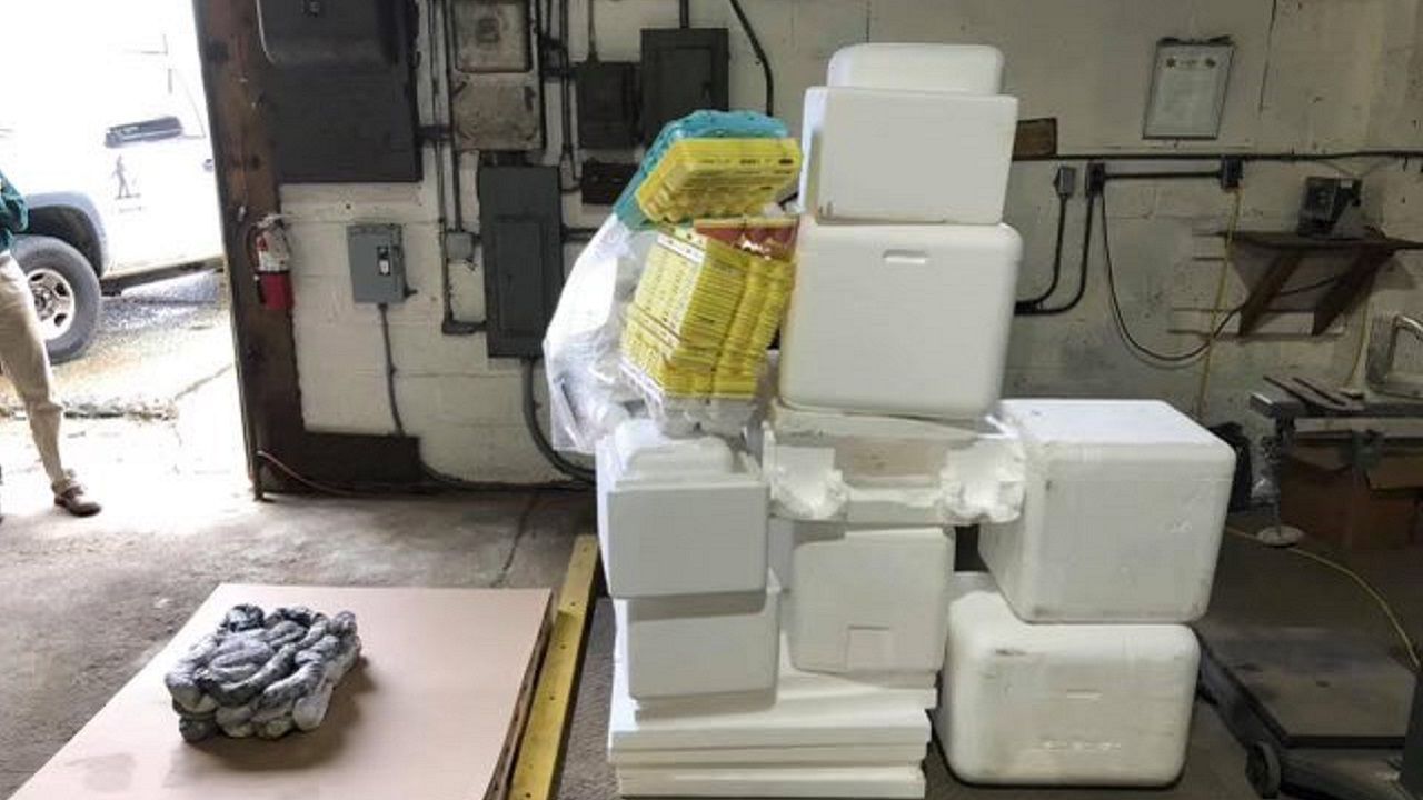 Greensboro Begins Styrofoam Recycling Program