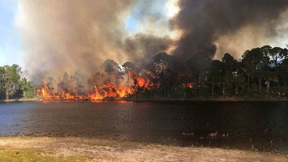 Crews battling brush fire in Melbourne