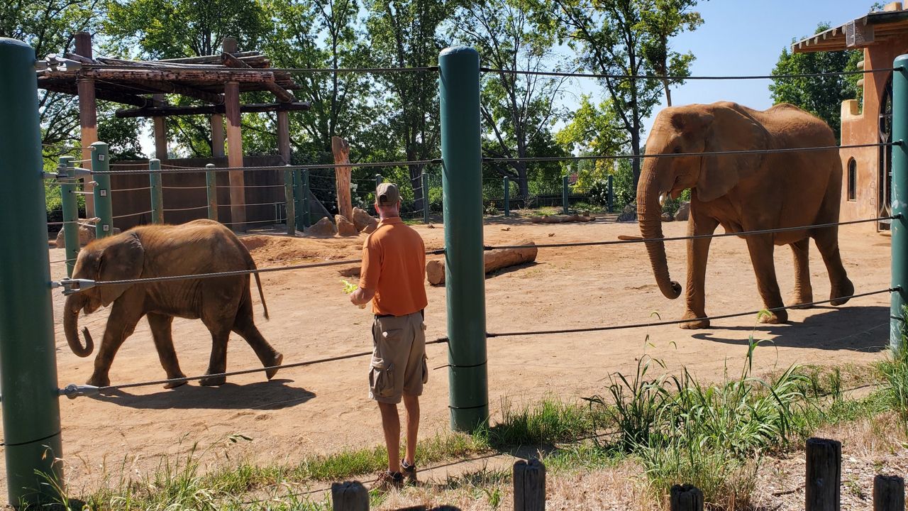 Touring the Louisville Zoo