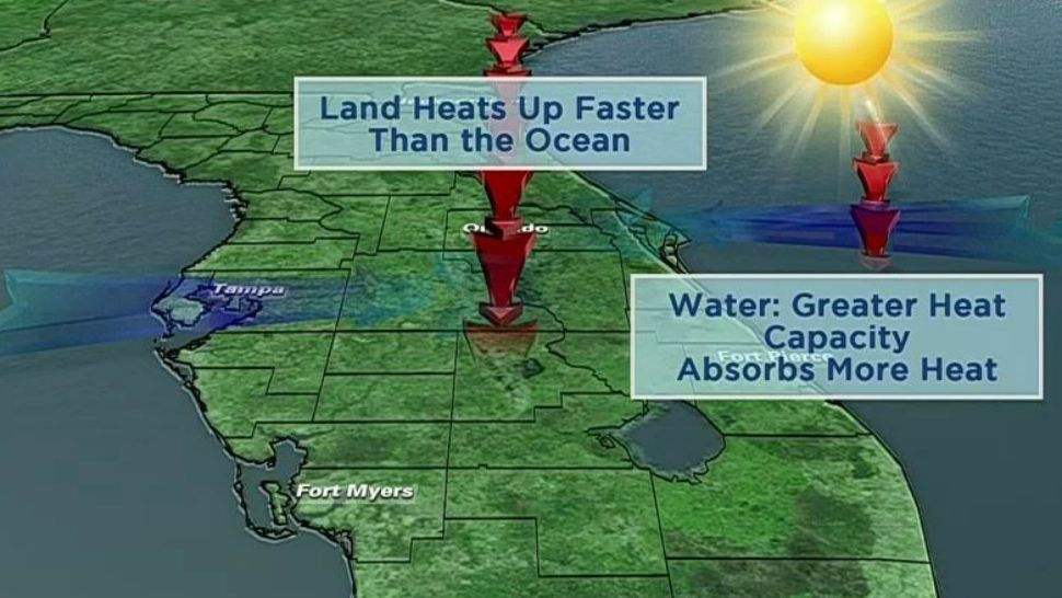 Weather FAQ Why Are There So Many Thunderstorms in Florida?