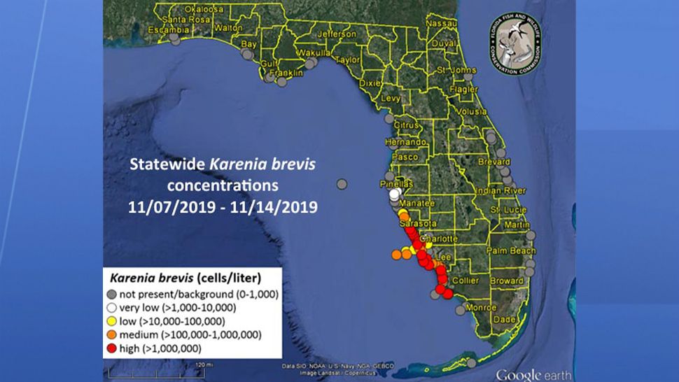 Red Tide In Florida Map 2020 world map