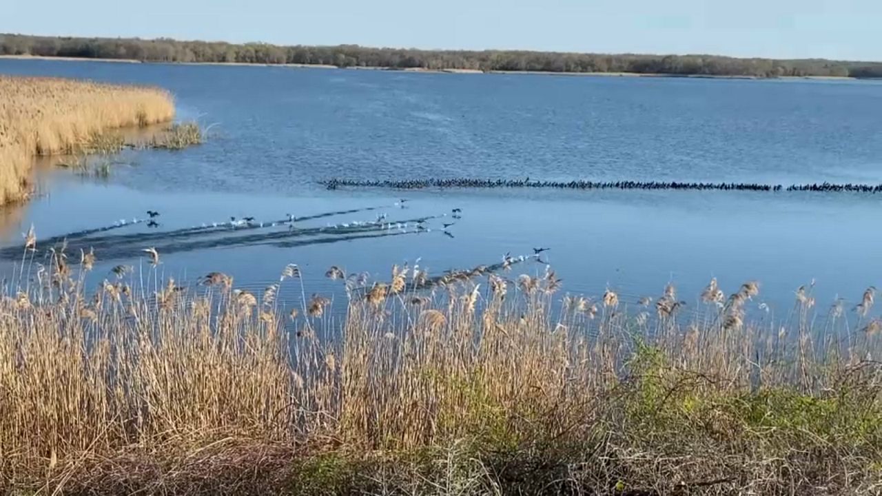 Fairfield Lake State Park still in limbo