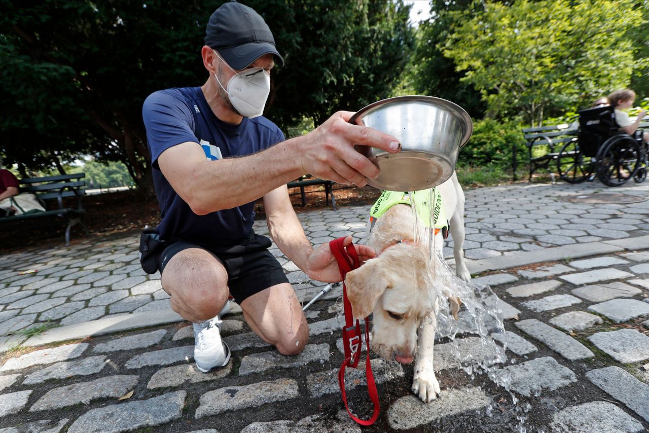 Guide dogs helping blind runners stay fit despite pandemic