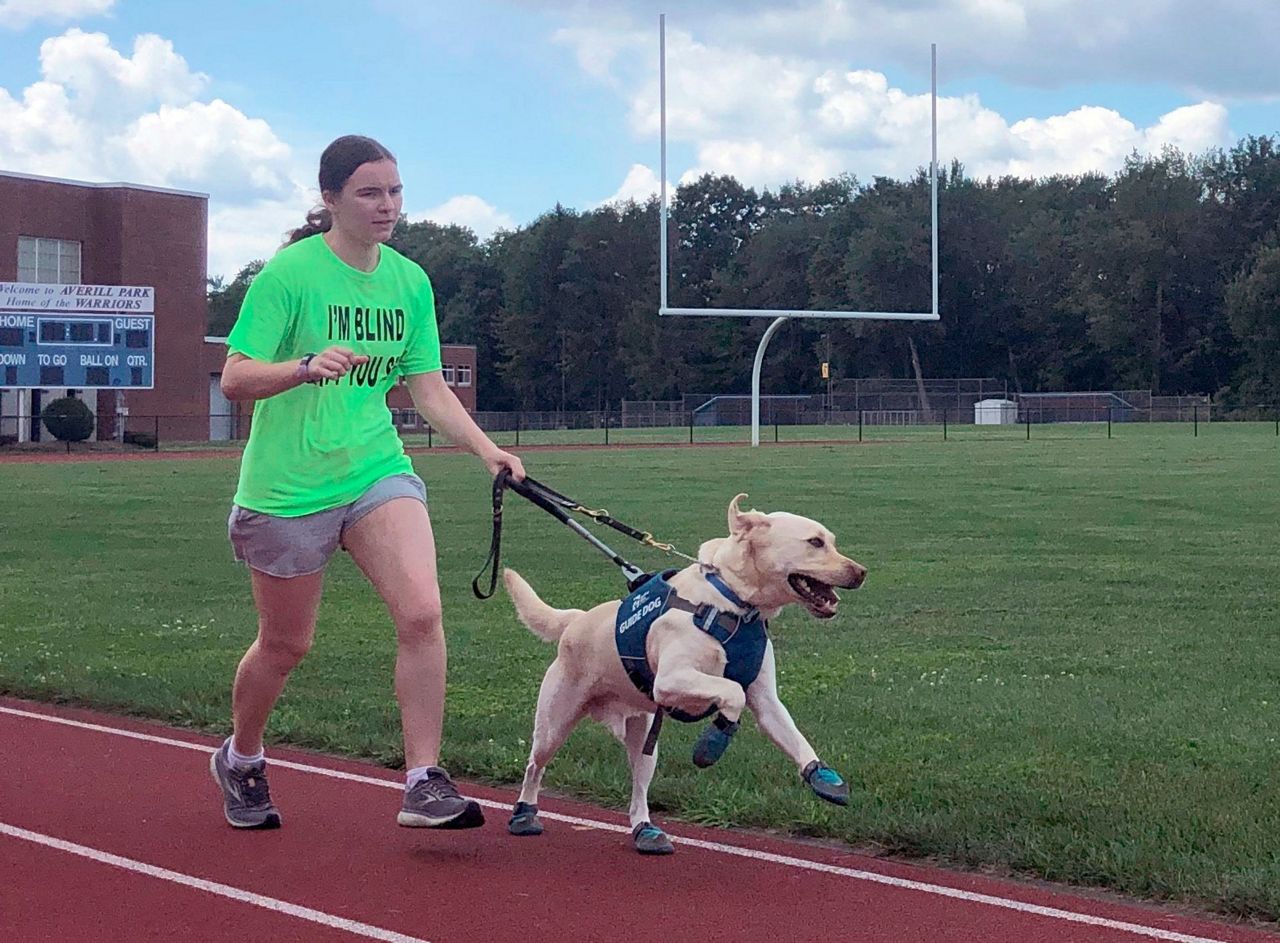 Guide dogs helping blind runners stay fit despite pandemic