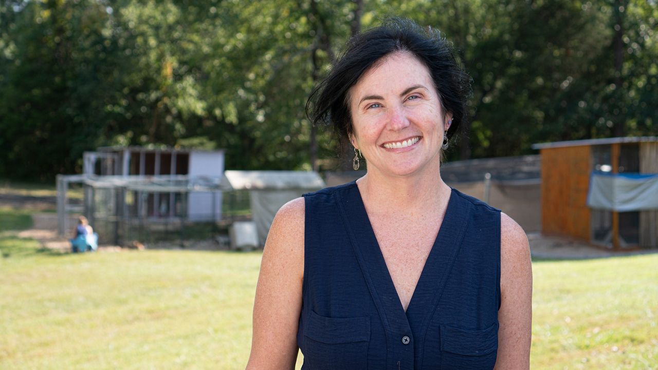 Experts say Kentucky’s armadillo population is on the rise