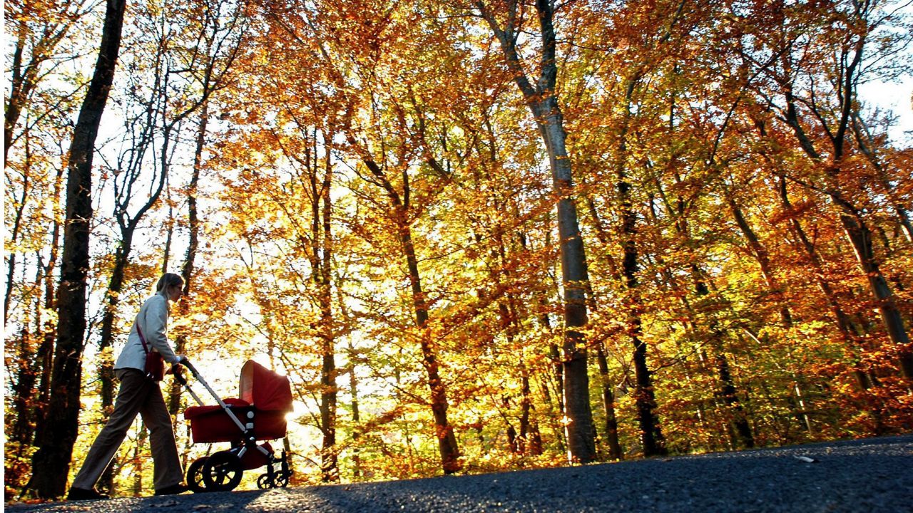 Reviewing a Mild November in Kentucky