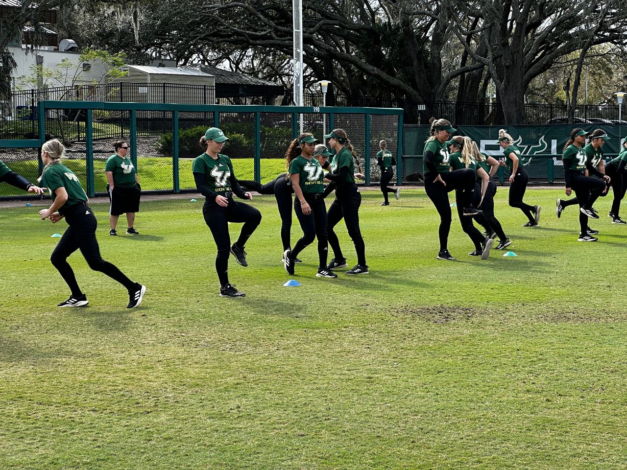 USF Softball gears up for another season