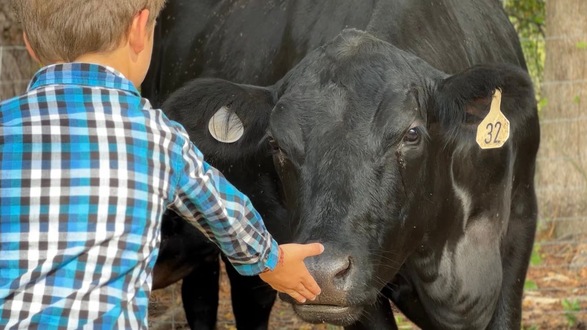 State Fair Farm Family of the Day Program