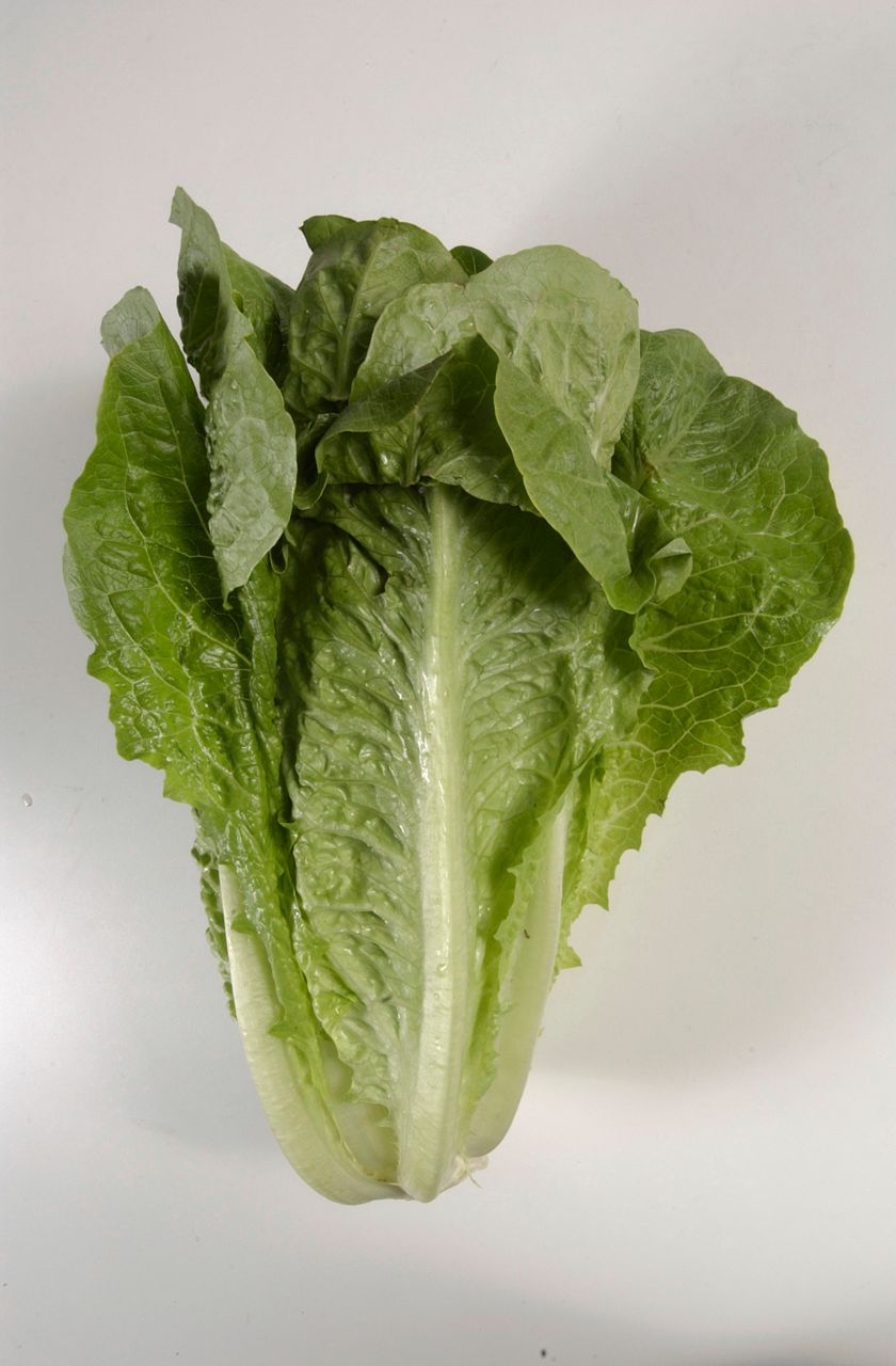 5 dead, nearly 200 sickened in romaine lettuce outbreak
