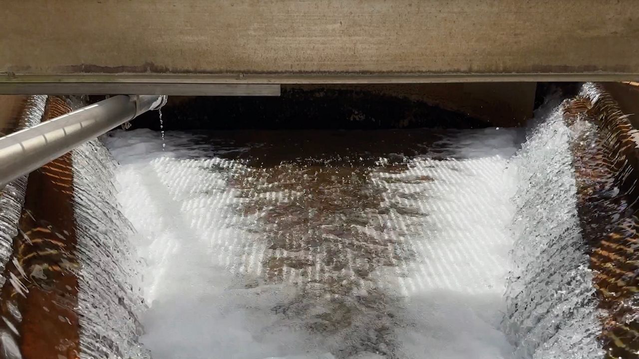 Raleigh considers new drinking water standards