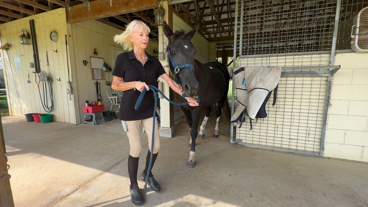 Pine Ridge known for its equestrian community