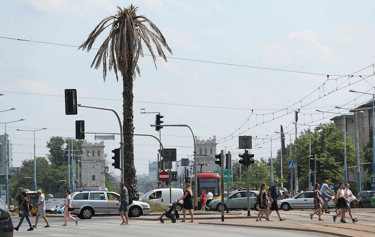 Warsaw's plastic palm tree 'dies' to mark climate threat