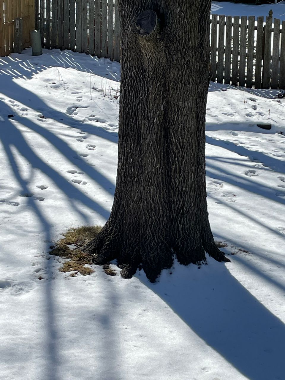 Why it takes so long for a snowpack to melt