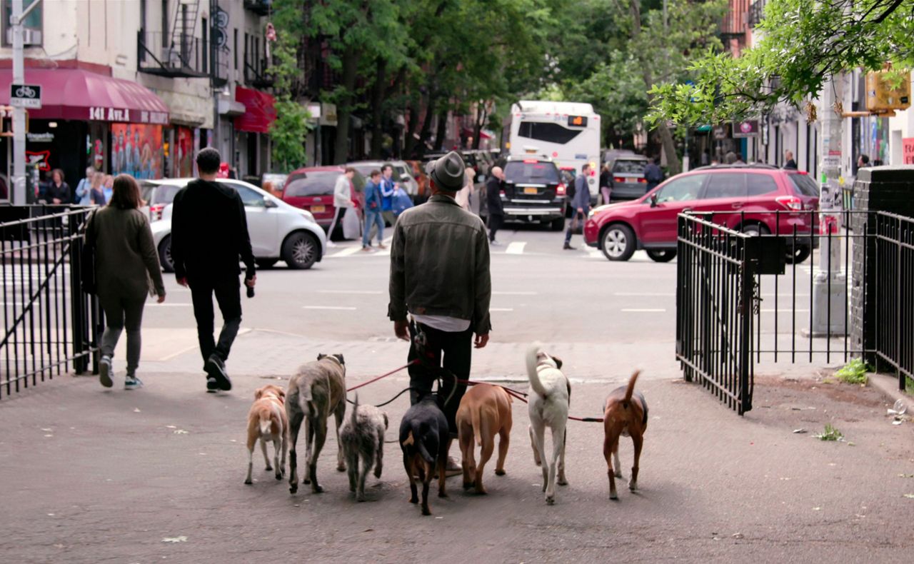 Netflix docuseries 'Dogs' lovingly serves up the human bond