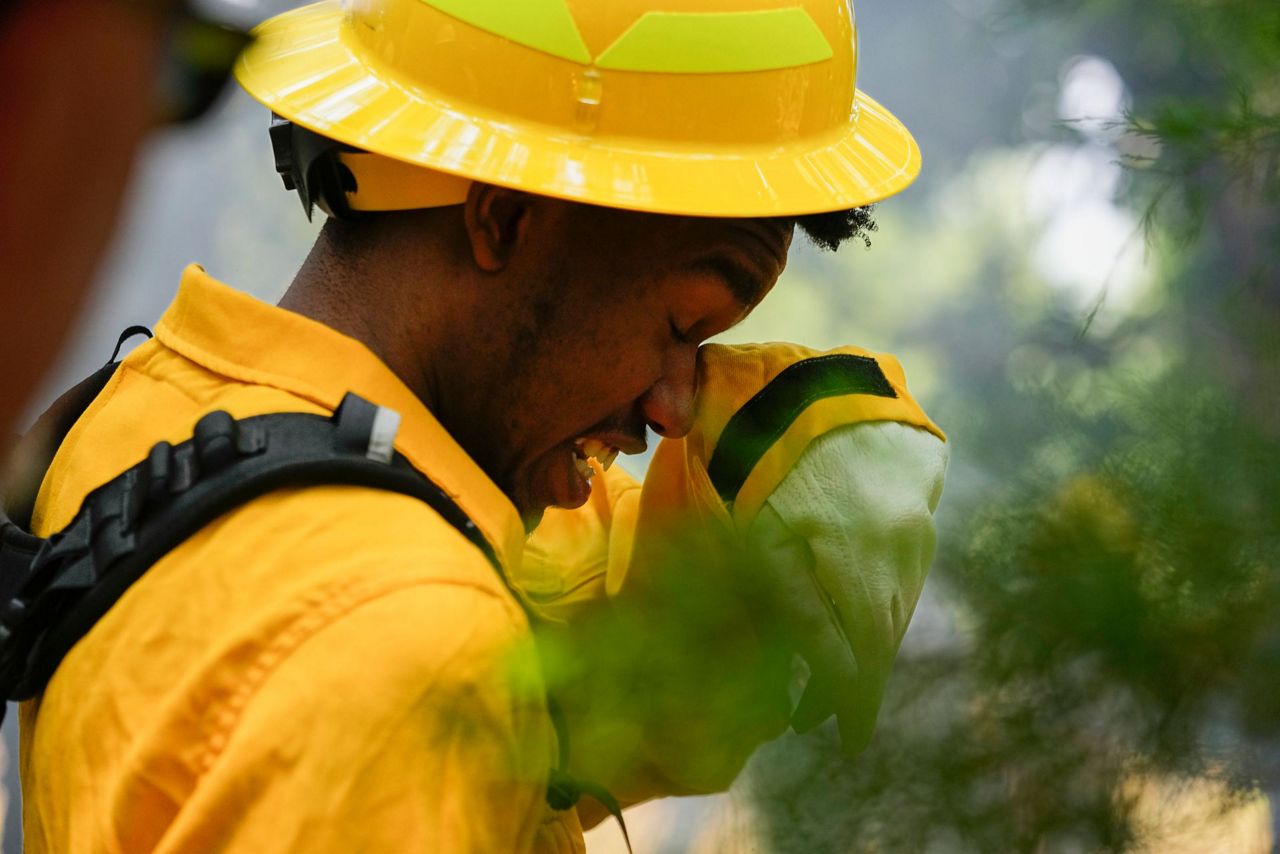 US Forest Service and historically Black colleges unite to boost