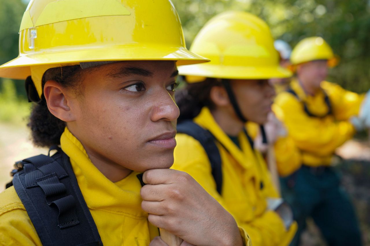 US Forest Service and historically Black colleges unite to boost