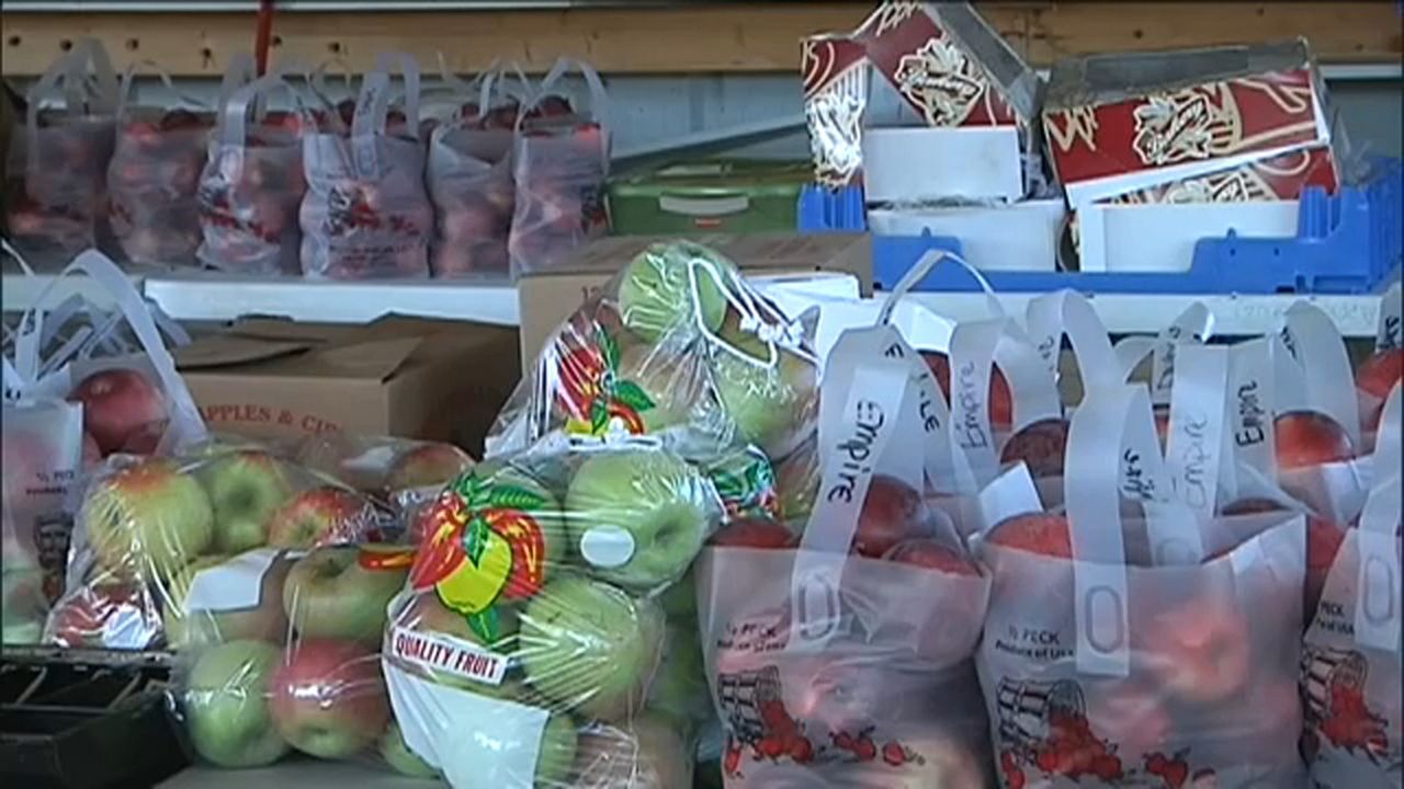 LaFayette Apple Festival 2022 What you need to know