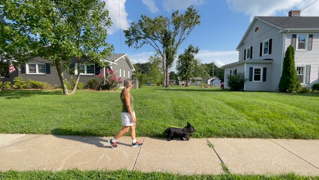 ReTree BG giving 50 free trees to Bowling Green residents