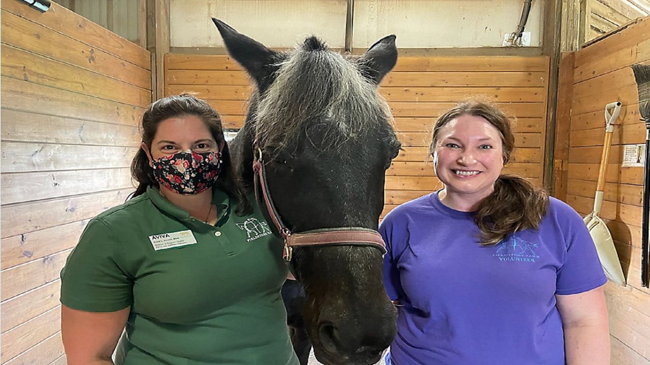 Ohio farm to host equine therapy open house for veterans