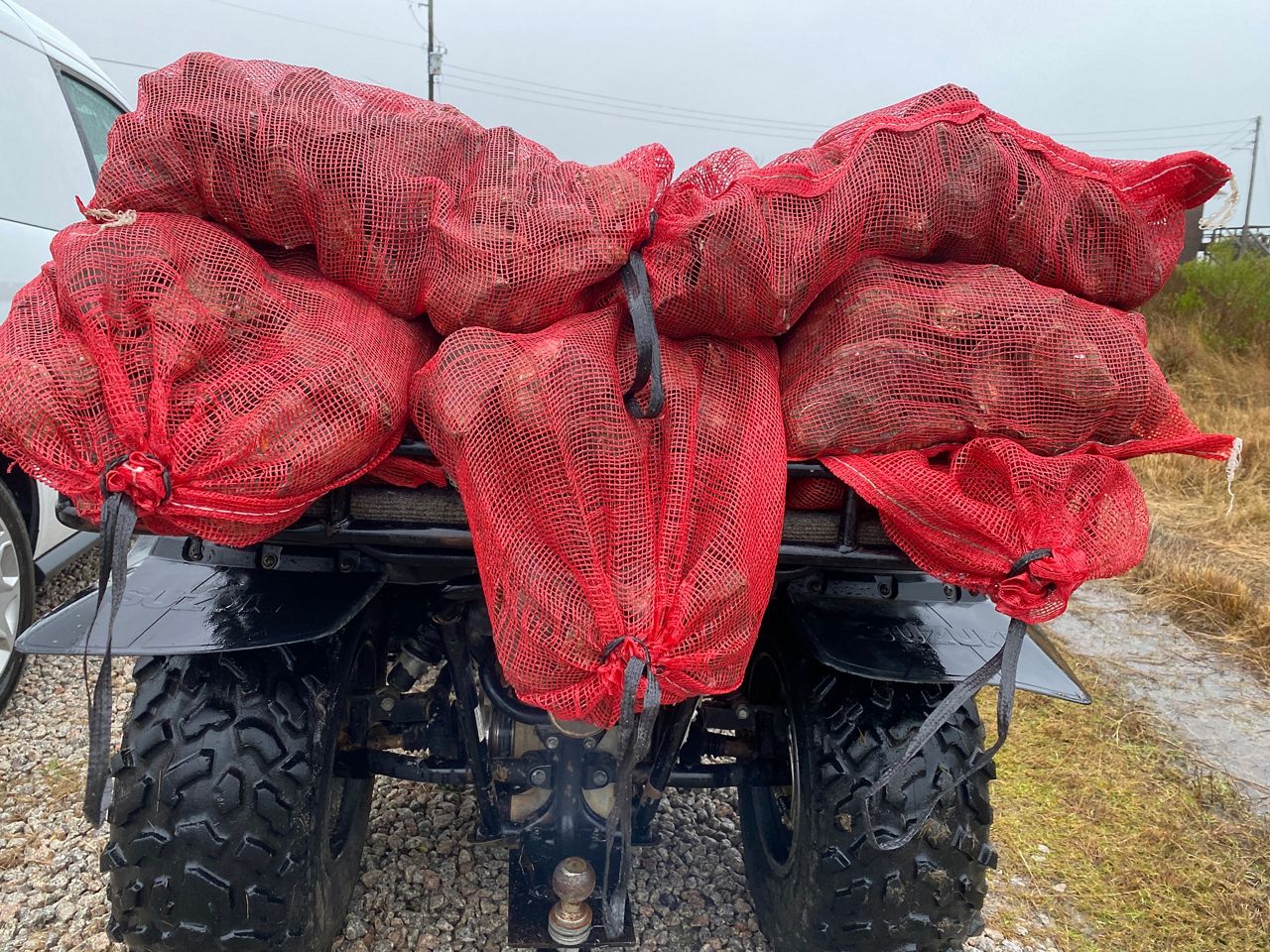 fresh oyster deliveries