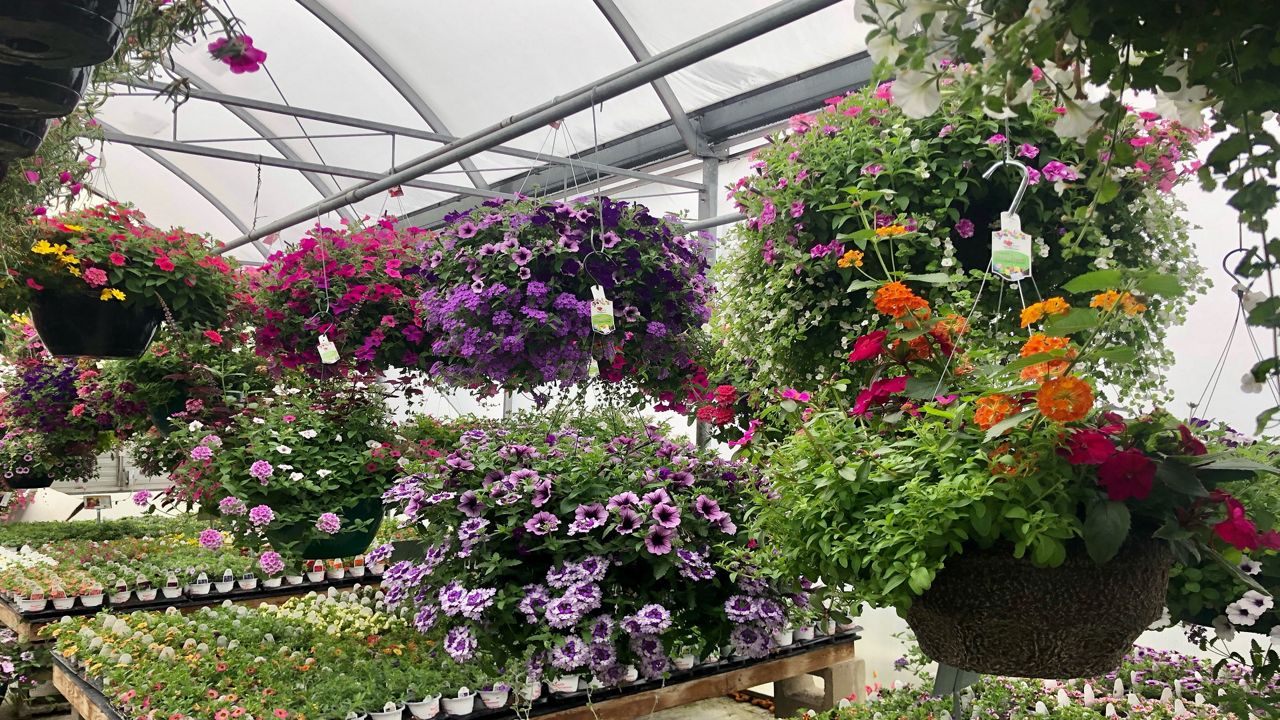 Wisconsin greenhouses rooted deep in family tradition