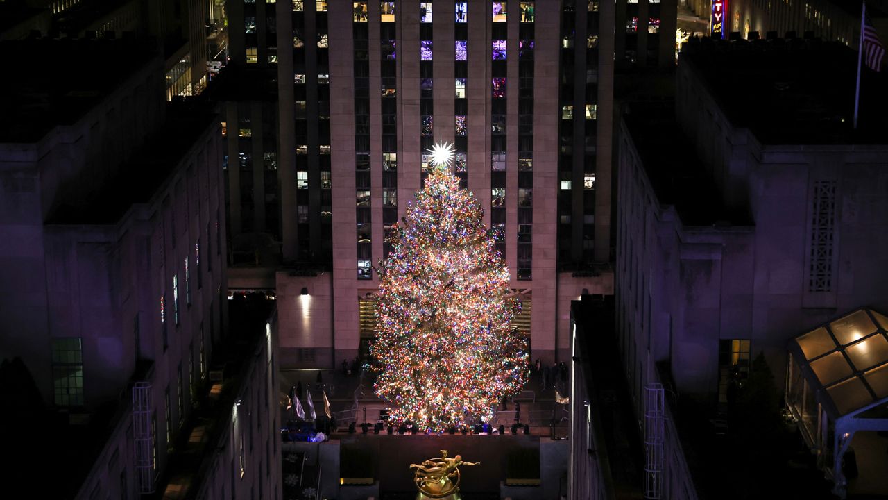 Greg's Trees owner on how to pick the perfect Christmas tree