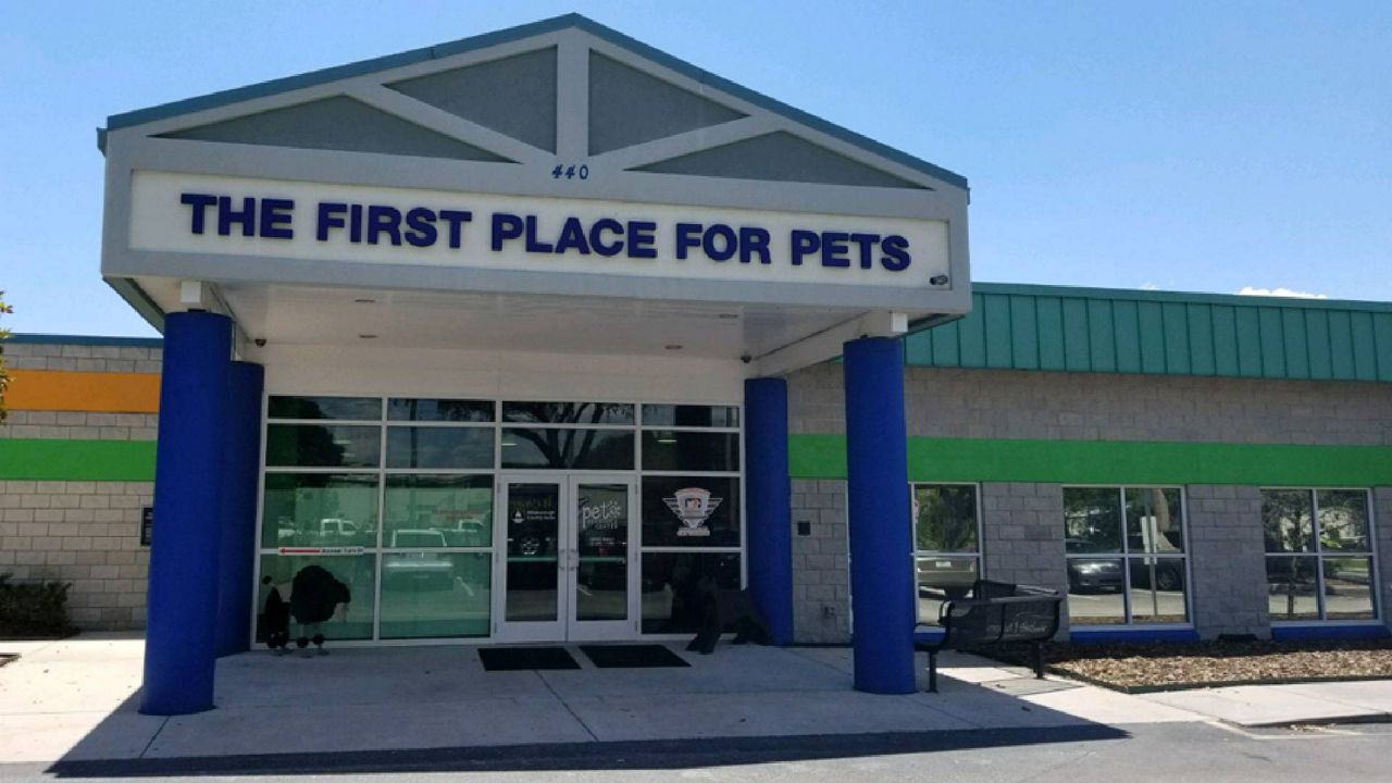 Hillsborough Pet Shelter's to host summer adoption party