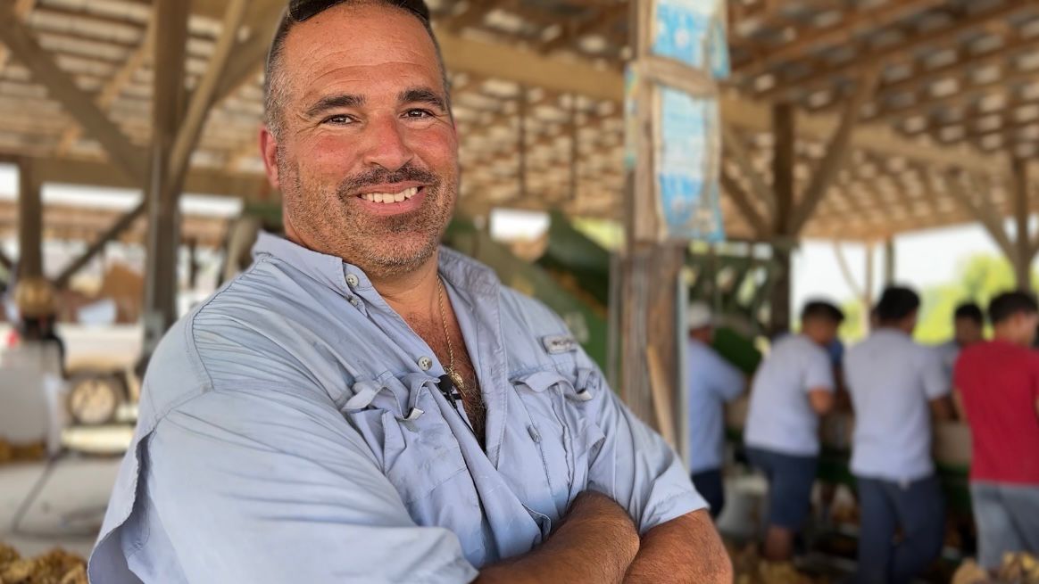 Perfect heat for tobacco harvest