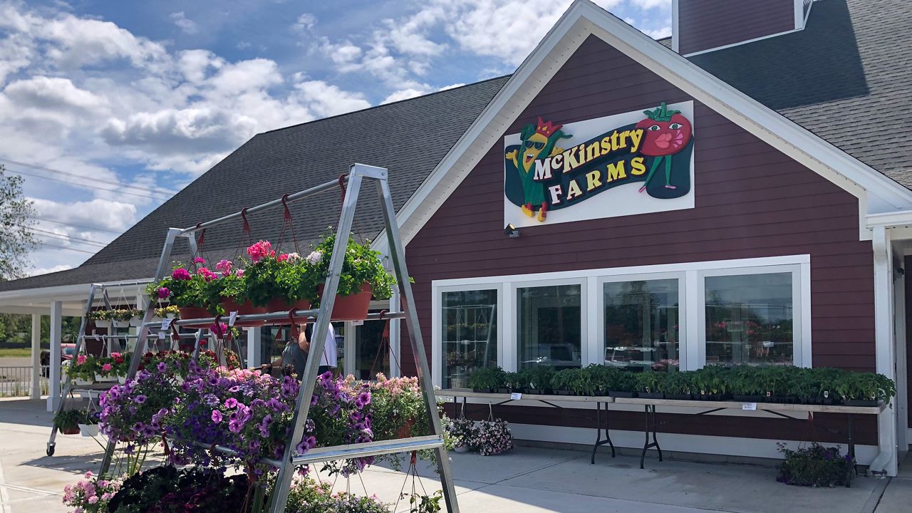 McKinstry Market Garden reopens with bigger and better building FGC Yuma