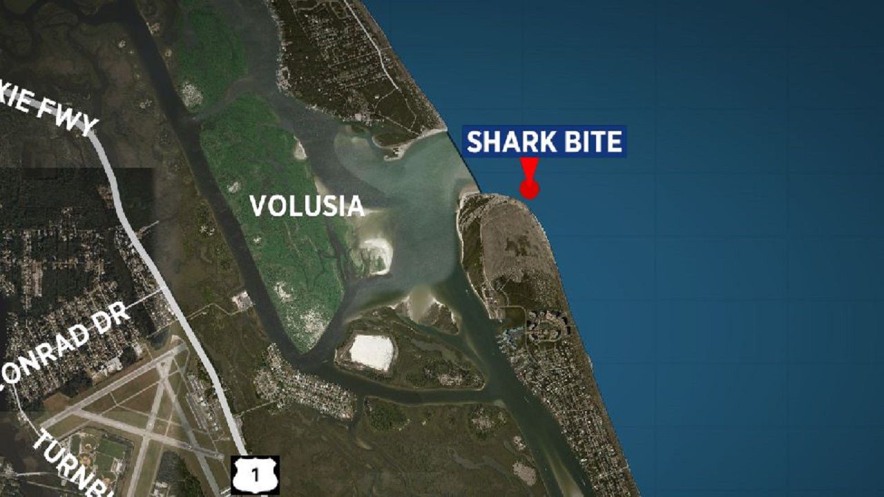 Daytona Beach man recovering after apparent shark bite