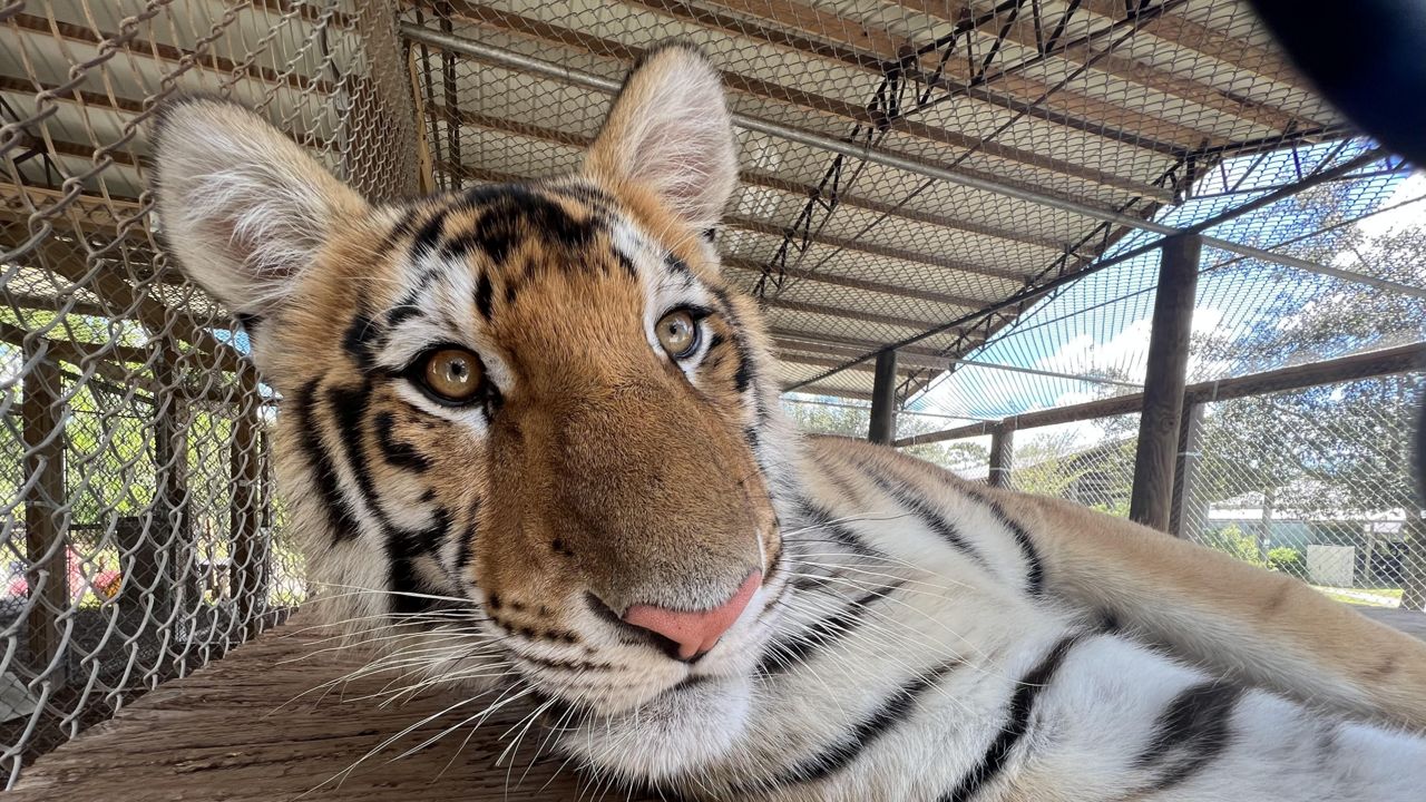 5 things to know about Central FL Animal Reserve