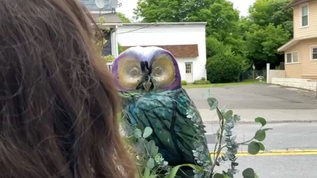 Saugerties public art recalls Rocky the Owl