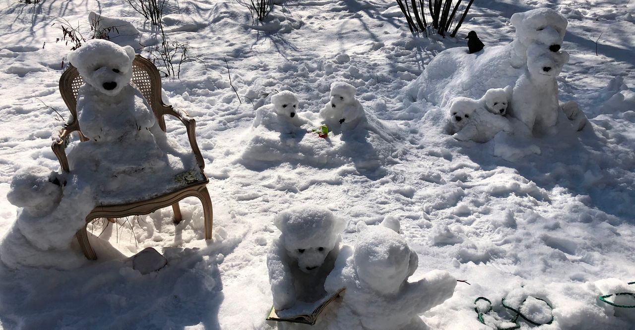 Polar Bear Sculptures Bring Snowy Smiles to Central Park