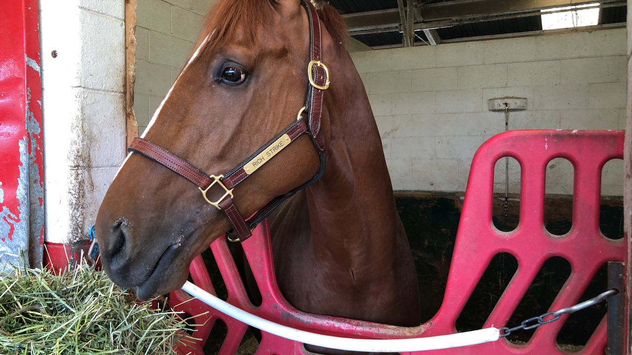Rich Strike Derby 148 Winner Readies For Preakness