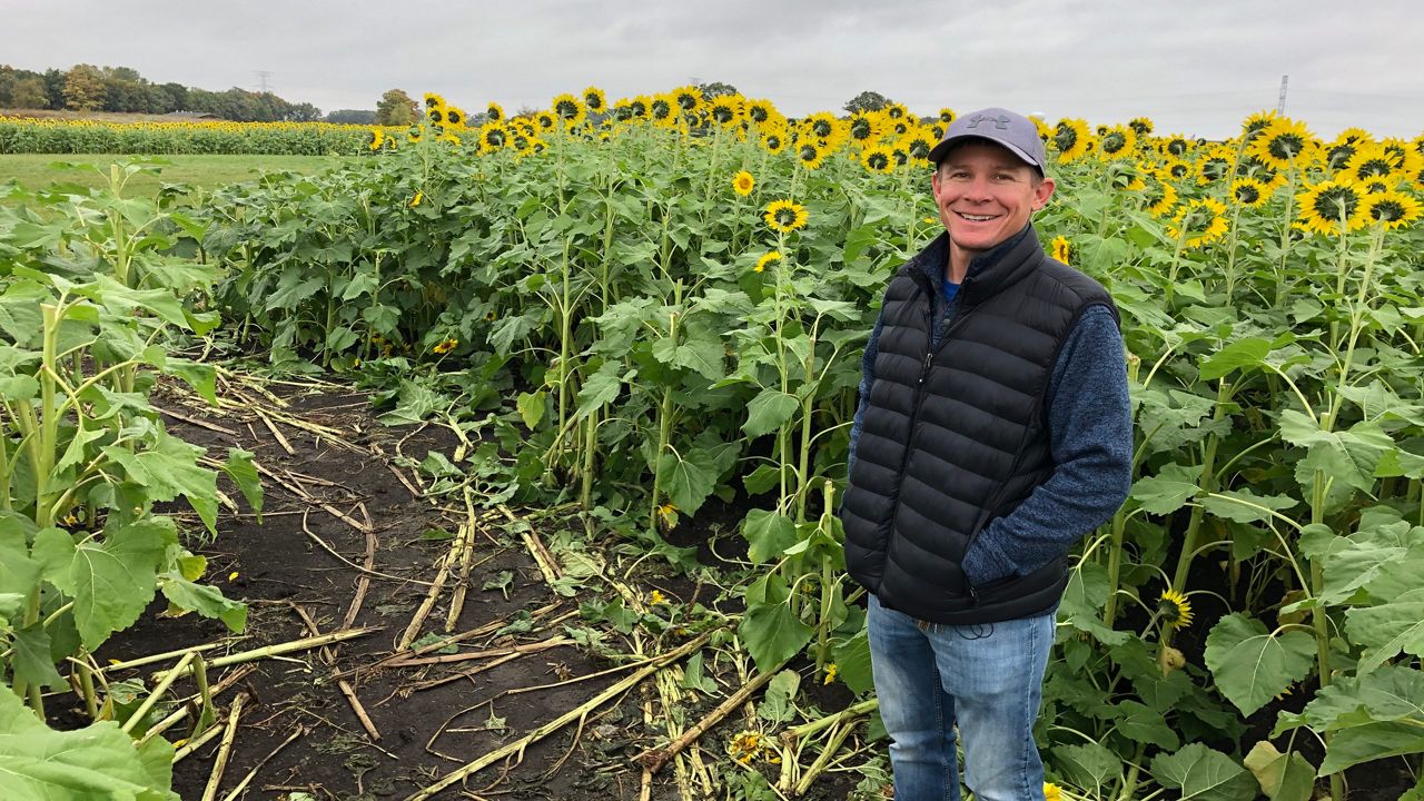 Wisconsin Farmer Grows Millions of Sunflowers for Smiles