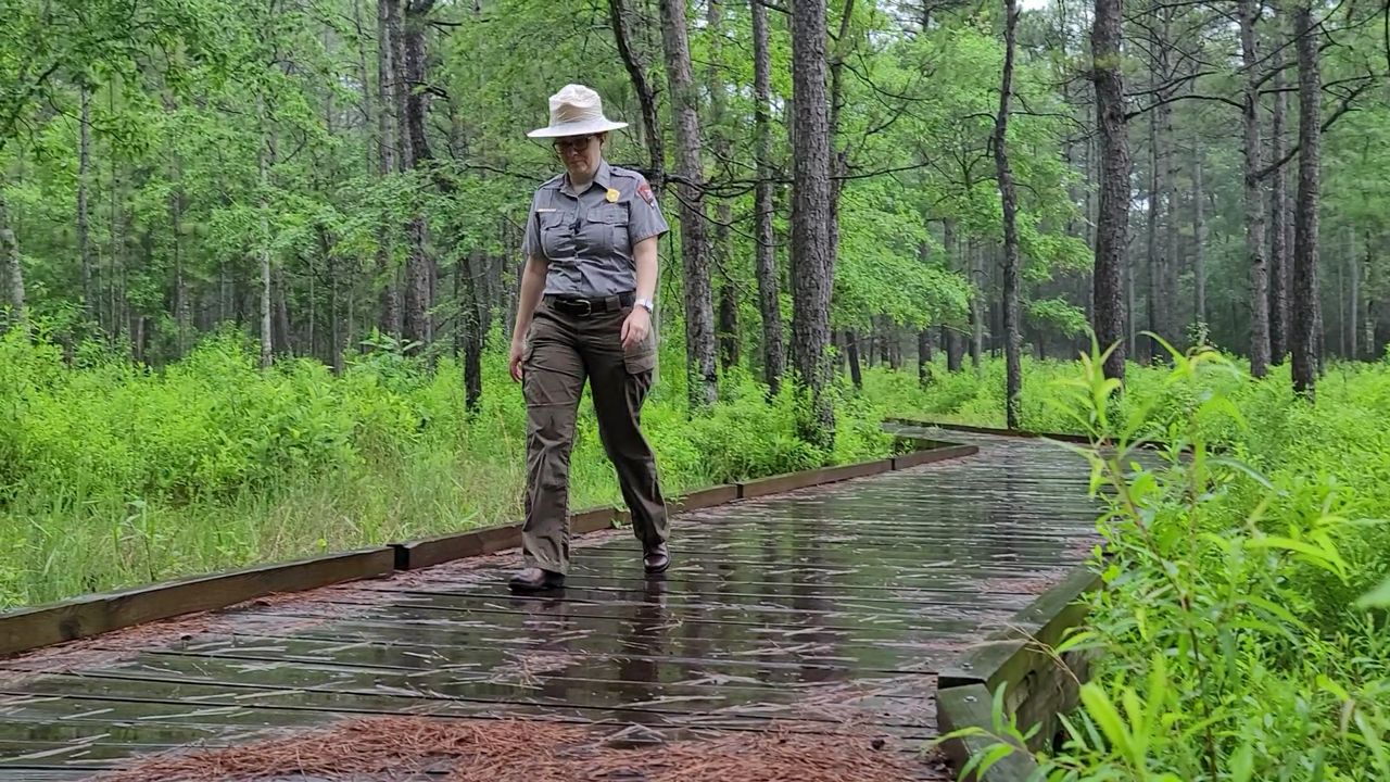 Big Thicket National Preserve sees record visitors in 2020