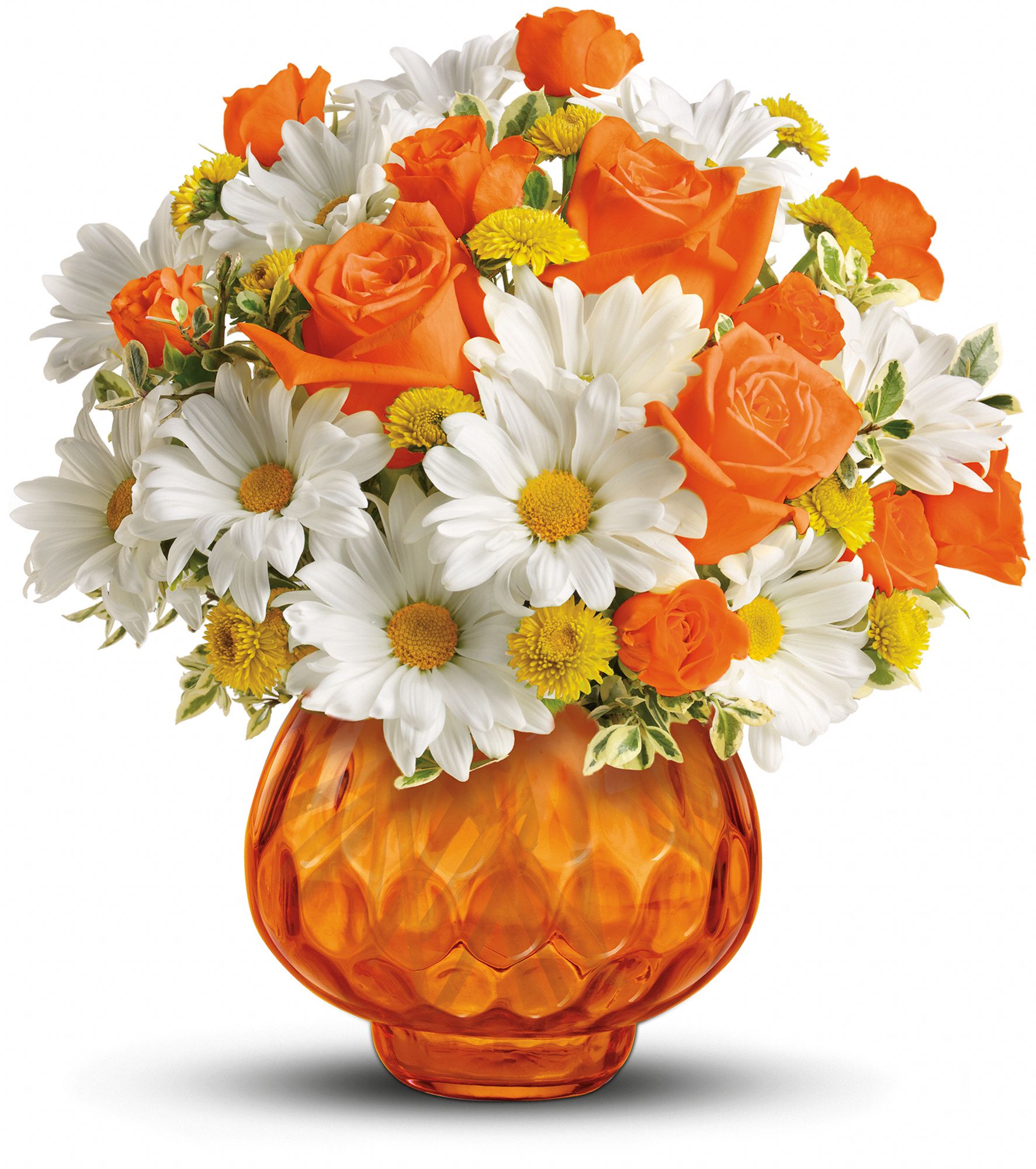 Teleflora’s Rise And Sunshine Photoverse